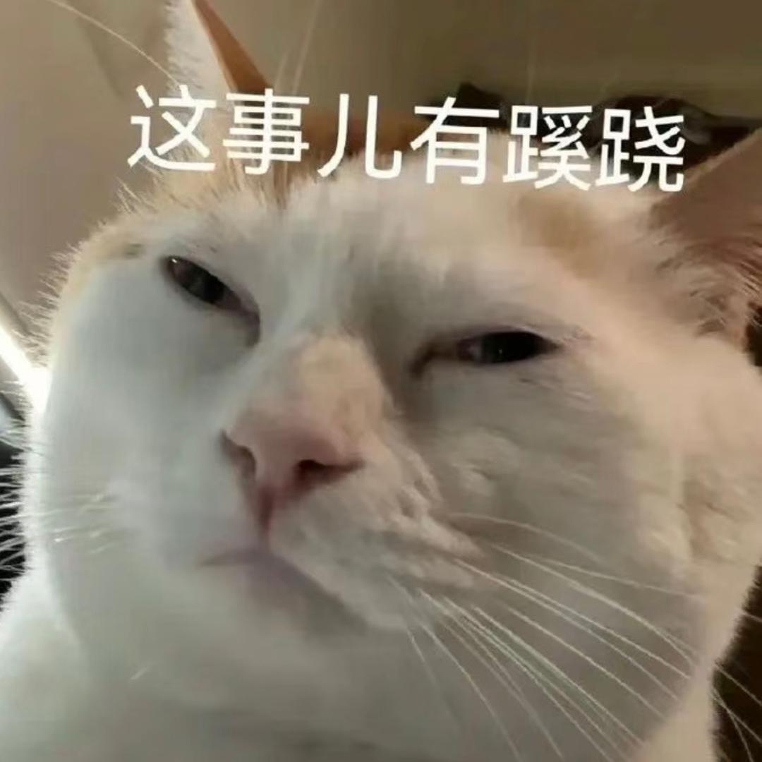 猪仔琪