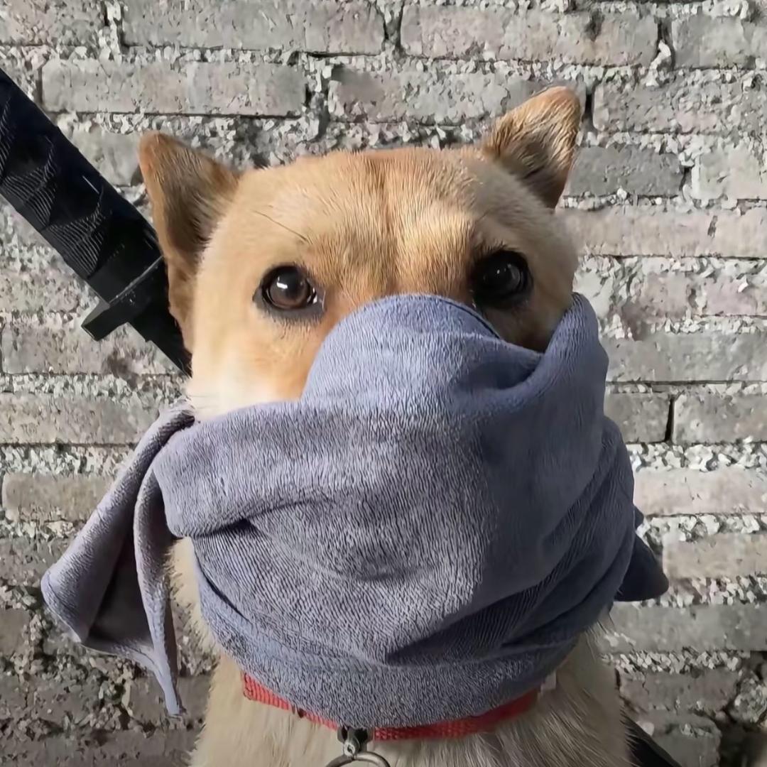 我恨有钱人