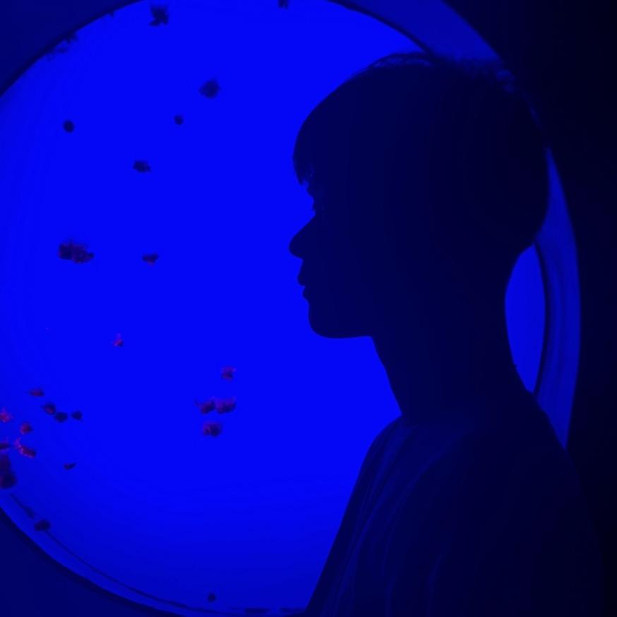 夜猫朵