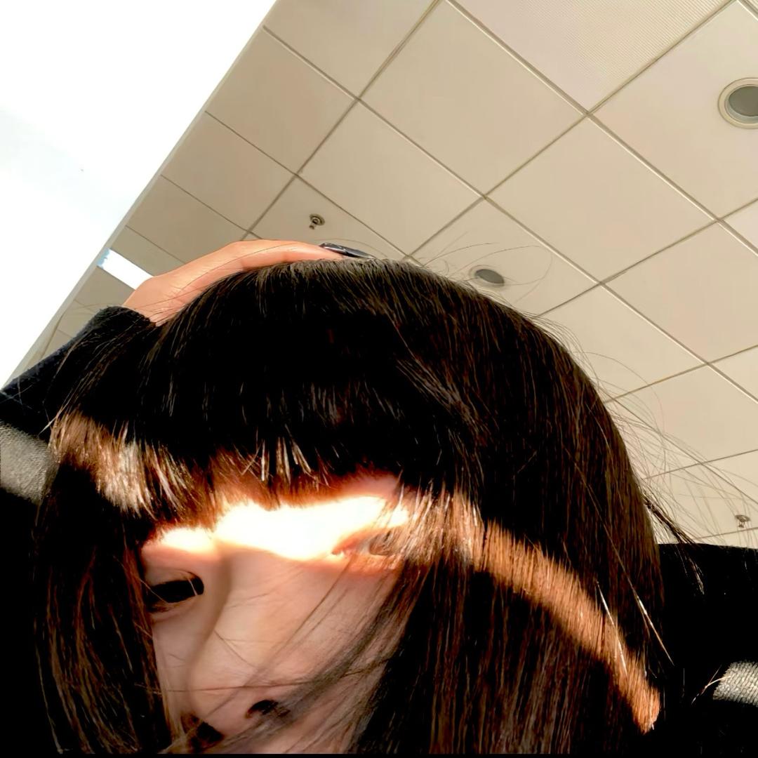 ㅤㅤㅤㅤㅤ