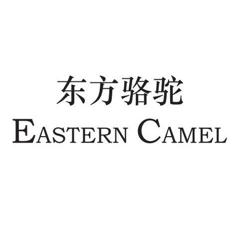 专柜品牌鞋09
