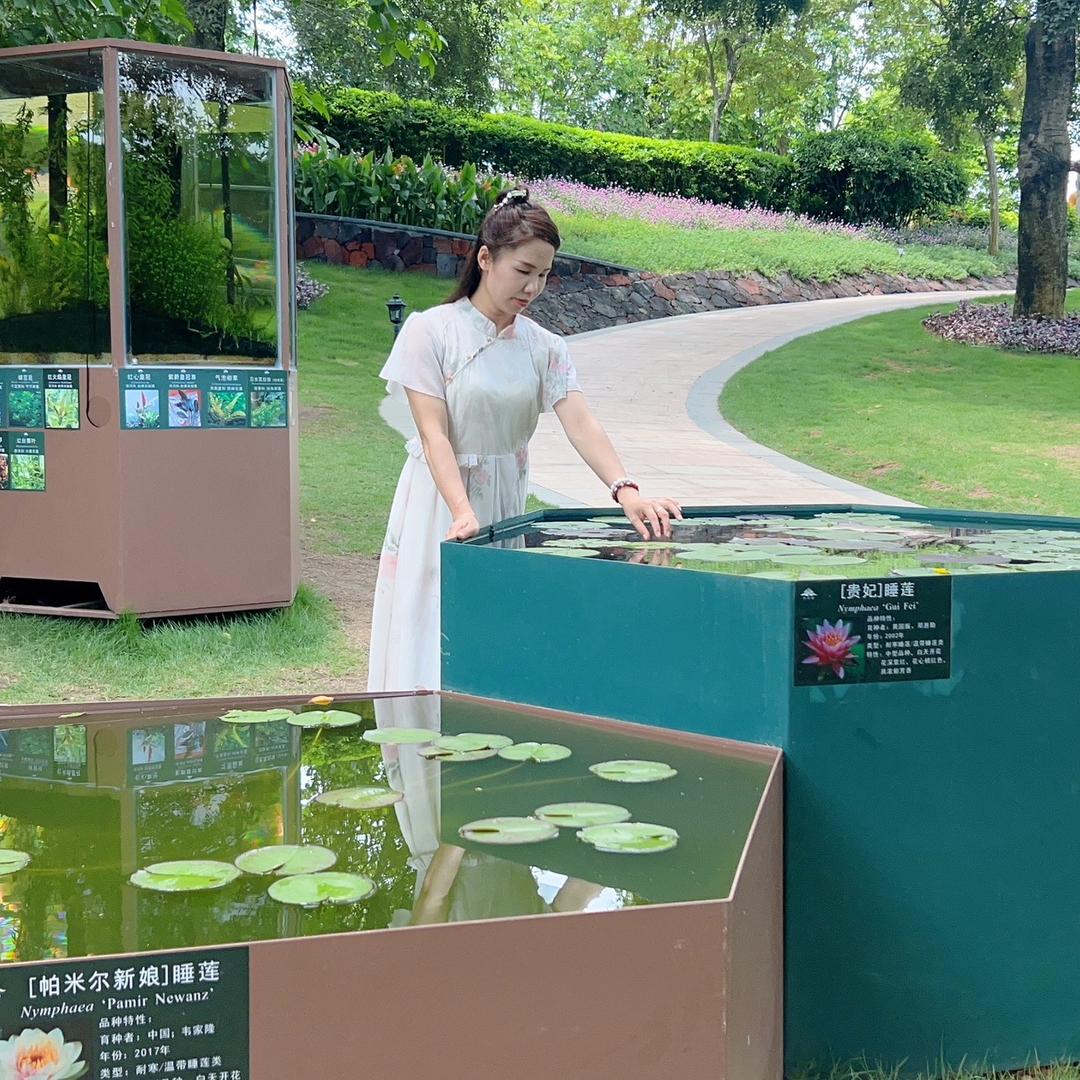 曾曾日上🌞