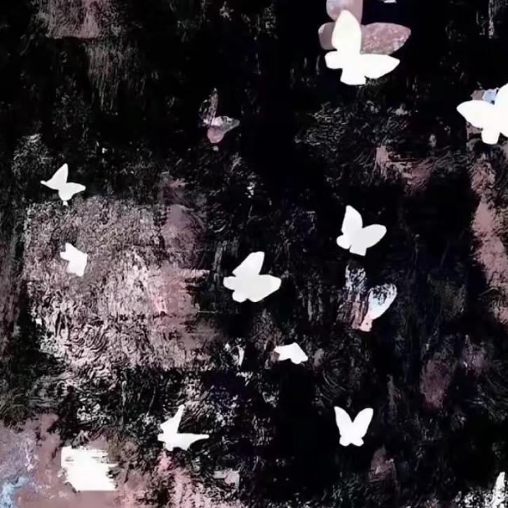 小奈🦋