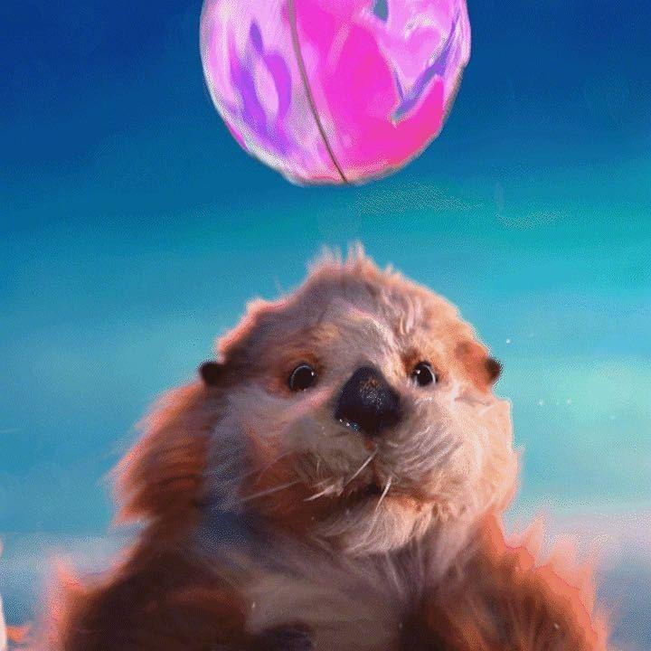 Vacation（近距离见过赵丽颖版）