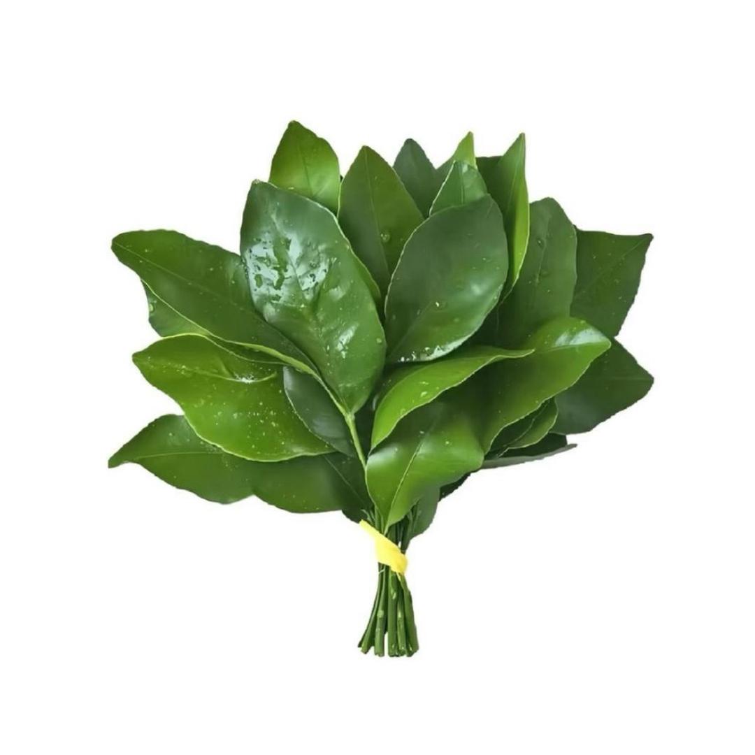 M₋