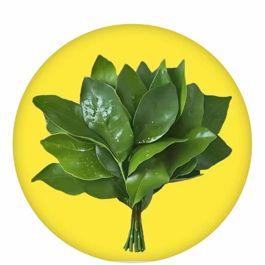 达闻西