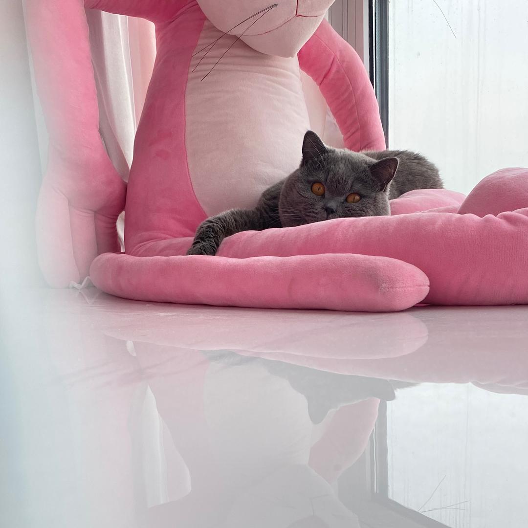 🍼㈢十而已🤏