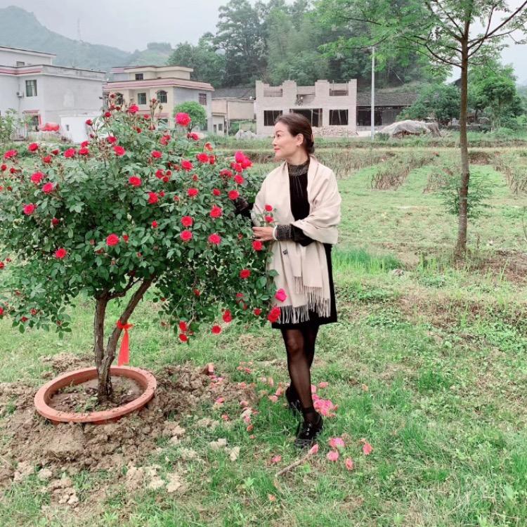 谭姐我就是我26676