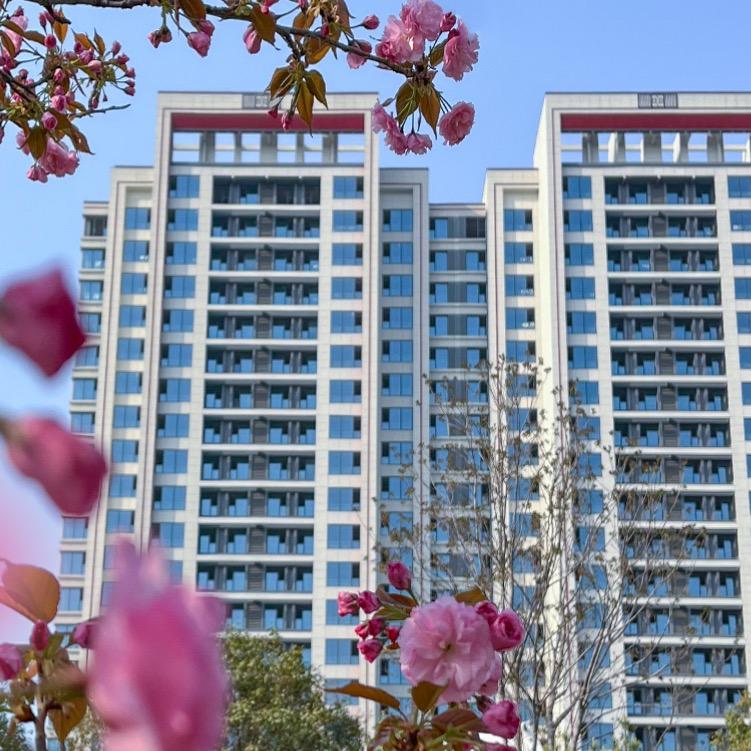 邢台壹号院，线上团购卖房
