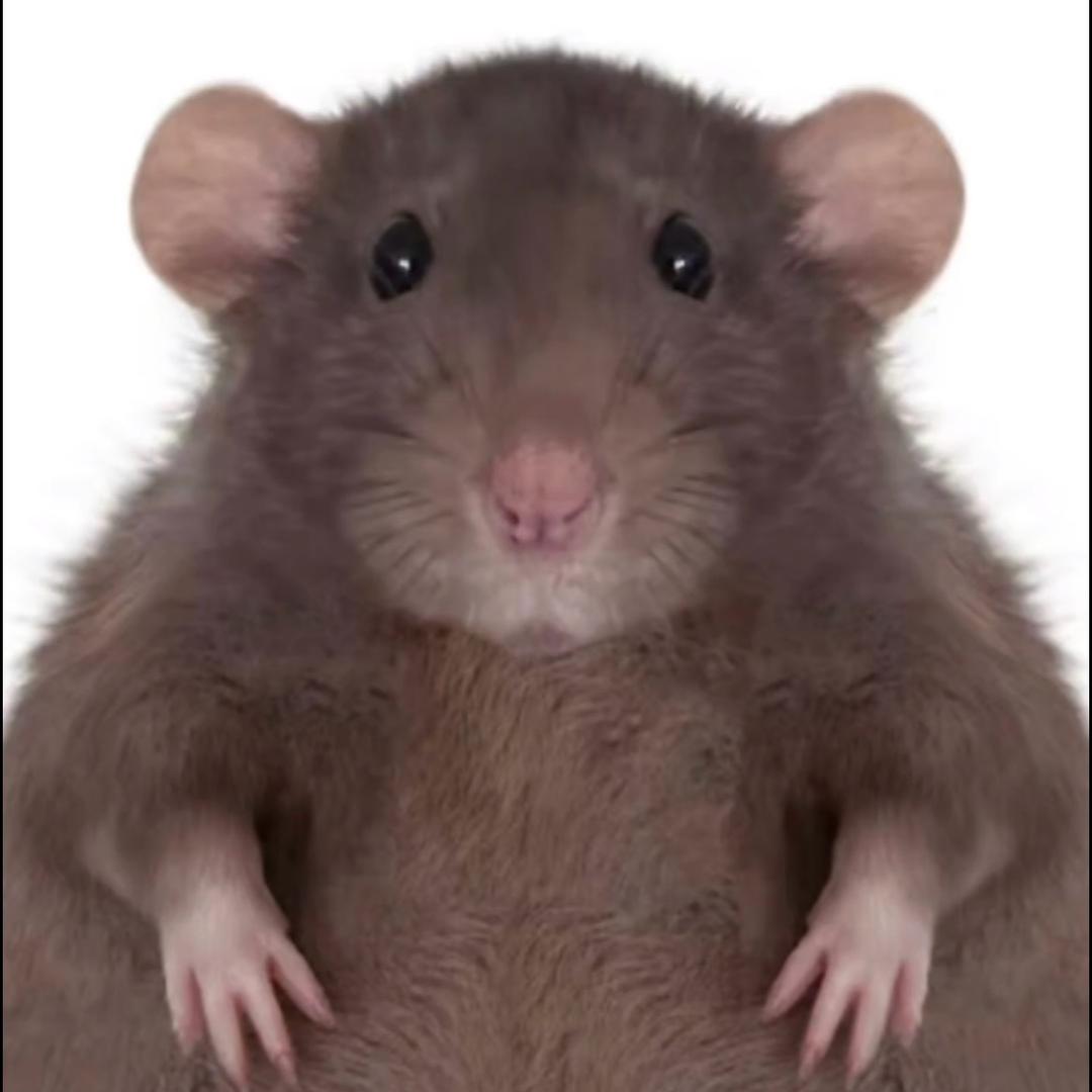 小六