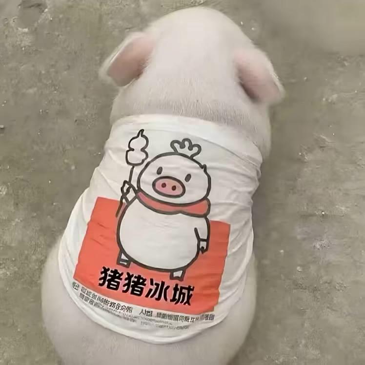 无畏契约你要气死我