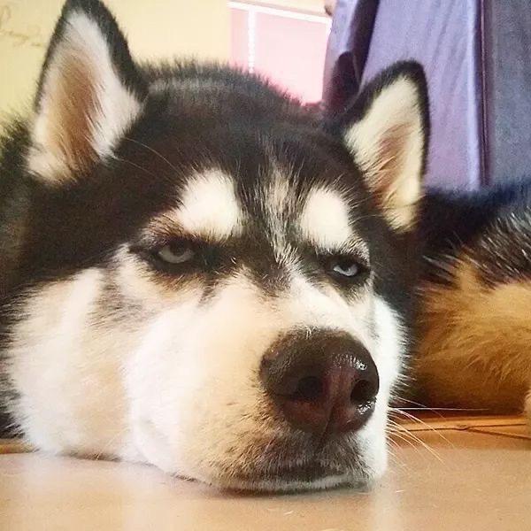 我是彭于晏