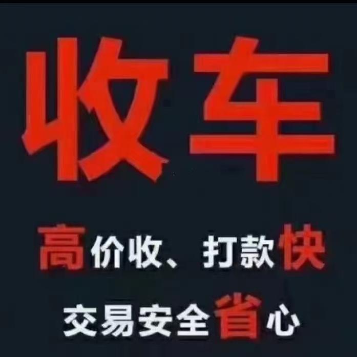 临沂润赢柴油面包车