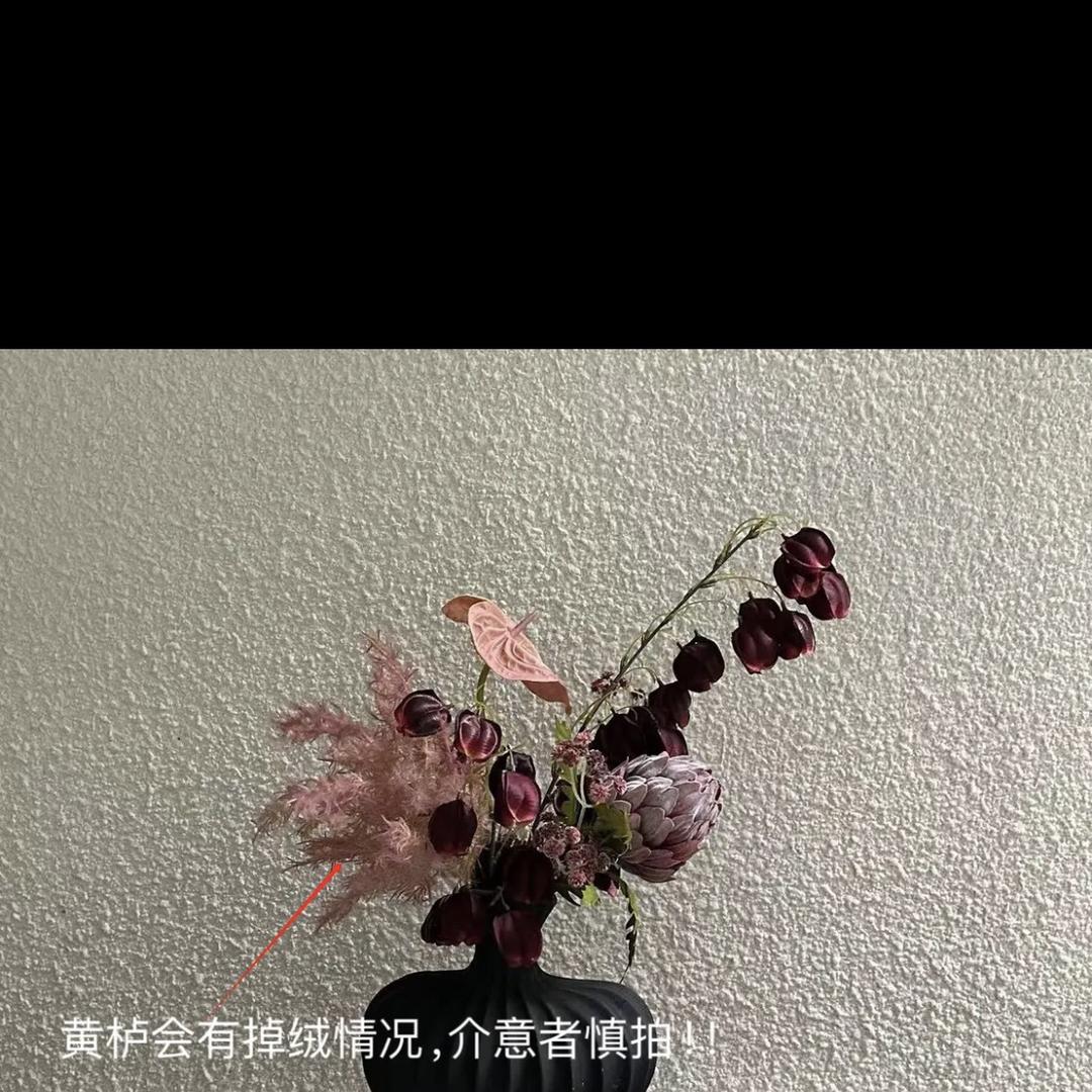 May酱紫、谷伞
