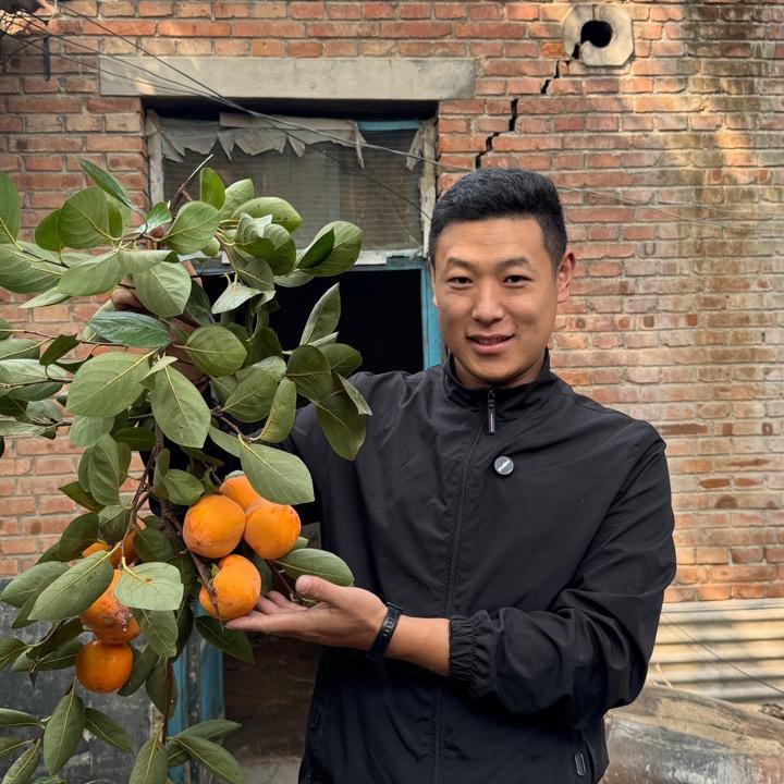 老树根