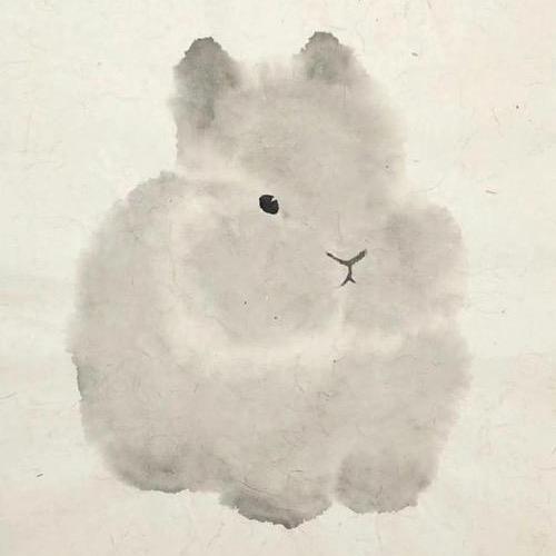 兔老板🐰