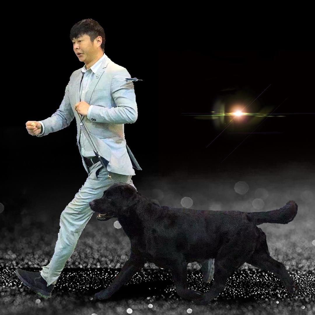 扬帆拉布拉多犬舍