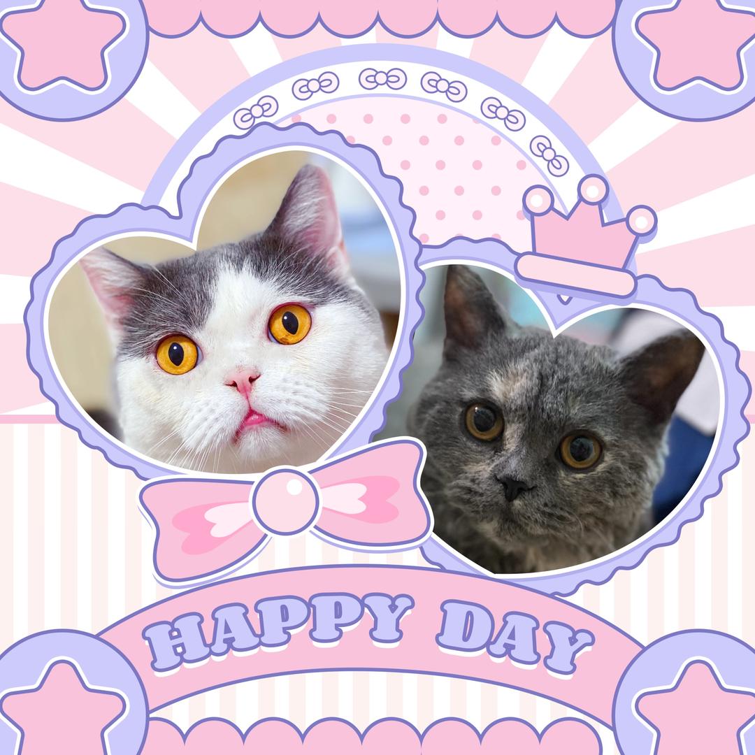 吉大宝儿&泡小芙