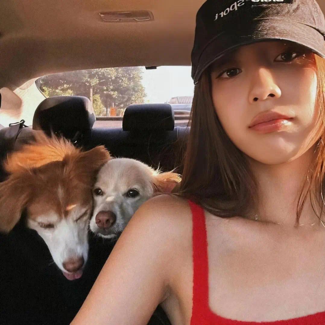 185的美女
