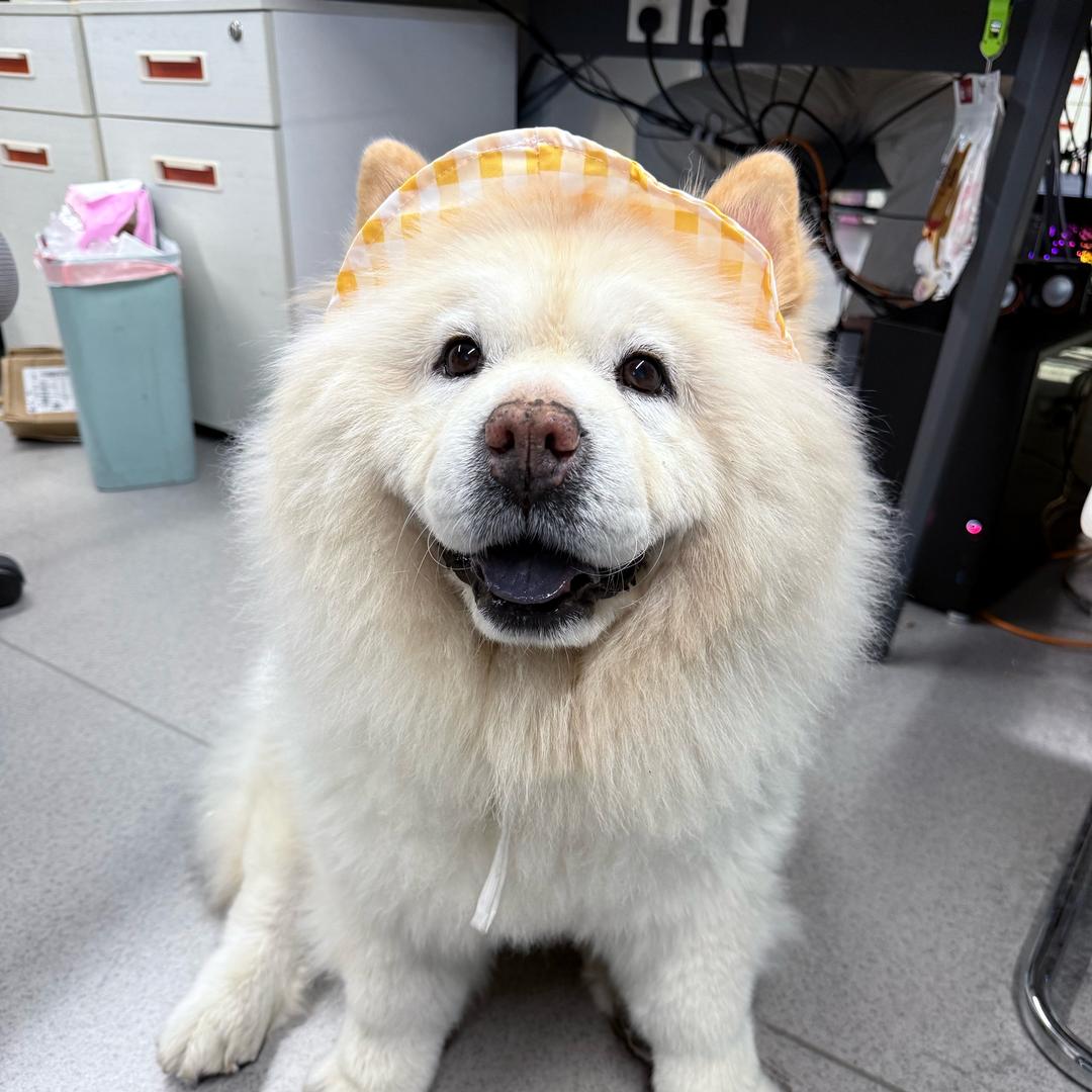 爱吃不麻辣烫