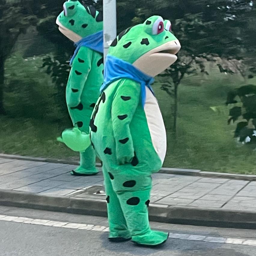 找工作找我