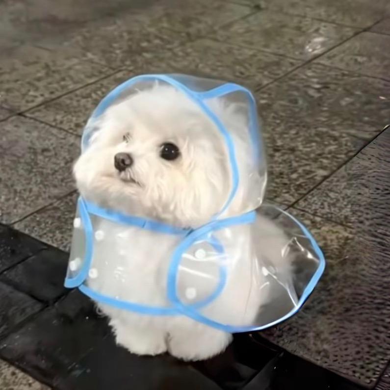 乌云和小宇