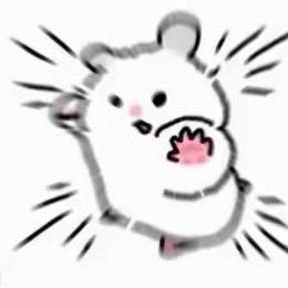 芋圆小婧
