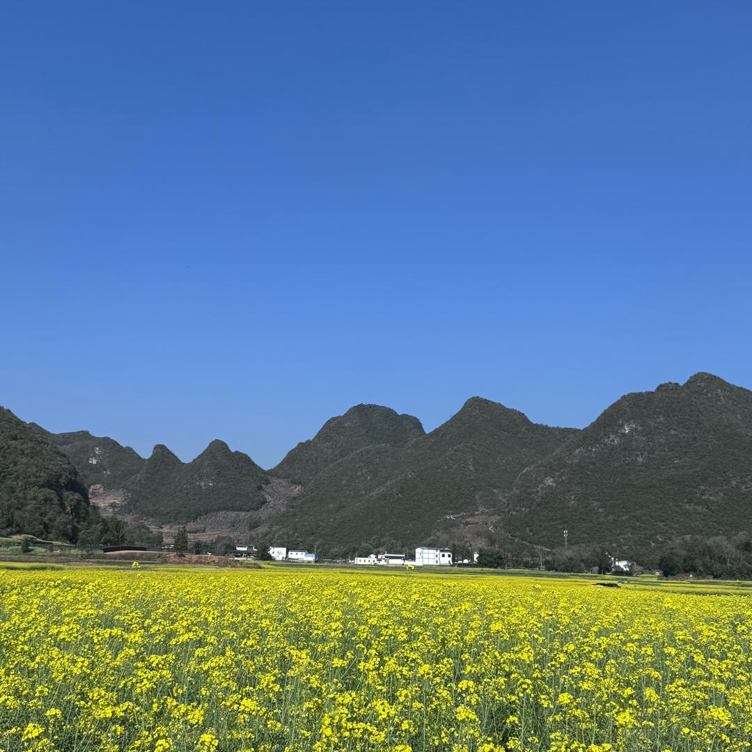 父与子