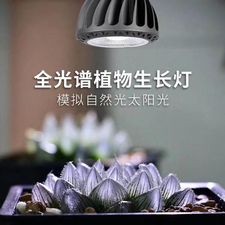 光联天下植物补光灯