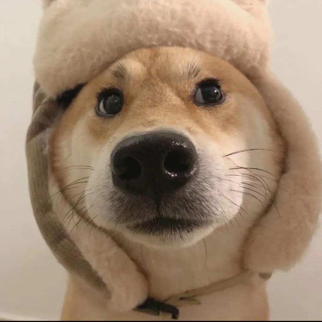 张小伙玩配音