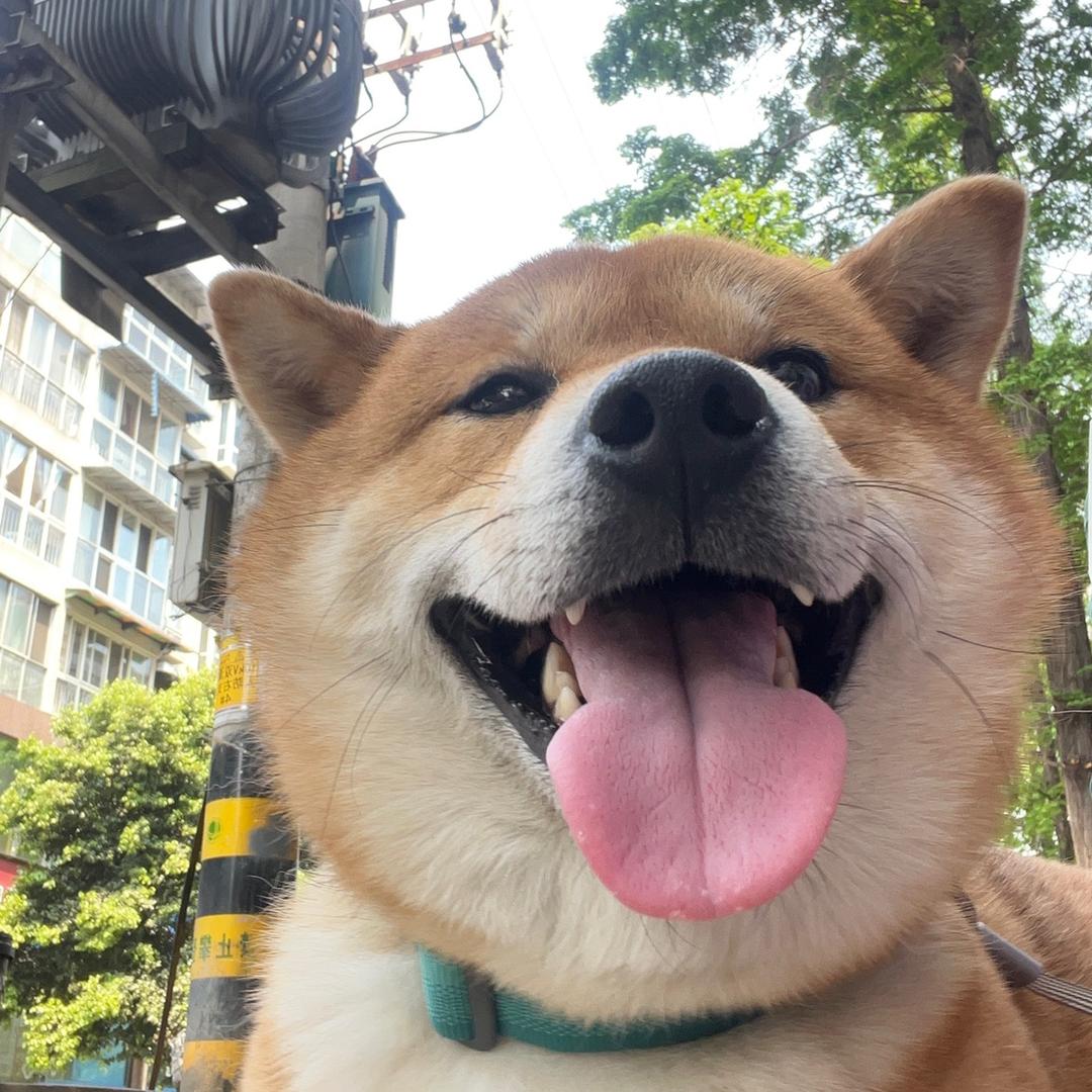 你不要云