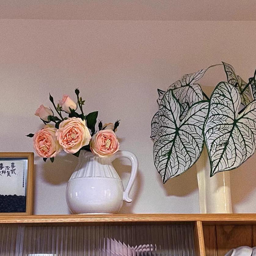 北辰家居饰品
