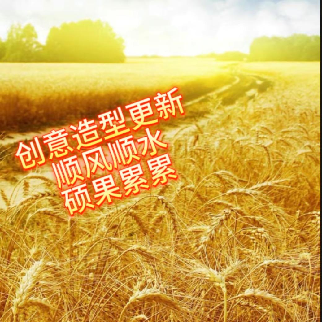 平姐创意造型更新@抖音