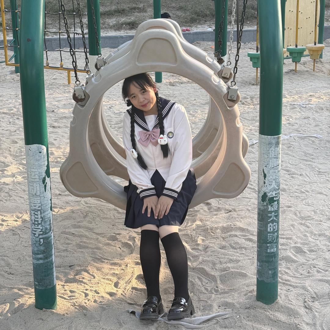 小刘摆烂.