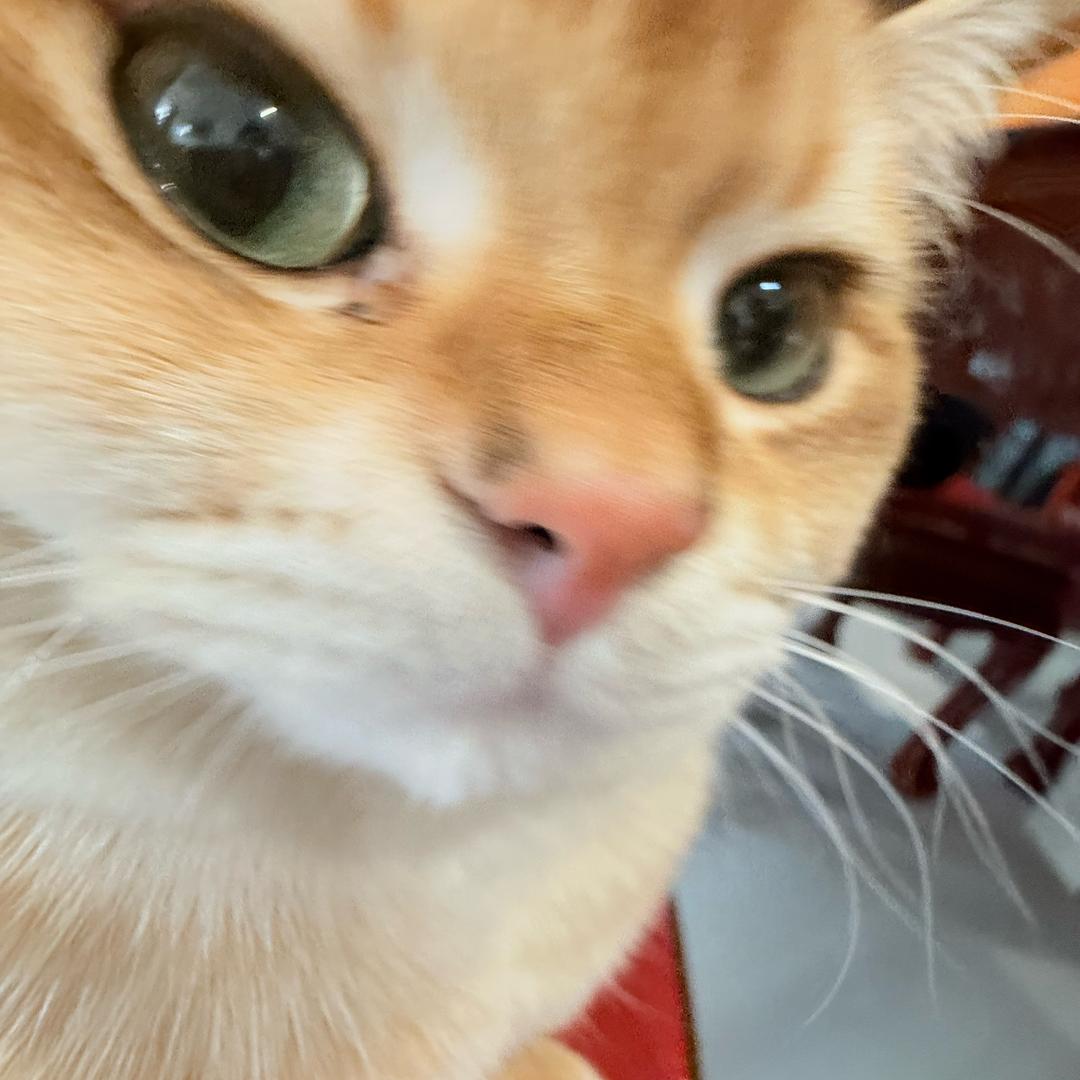 没烦恼