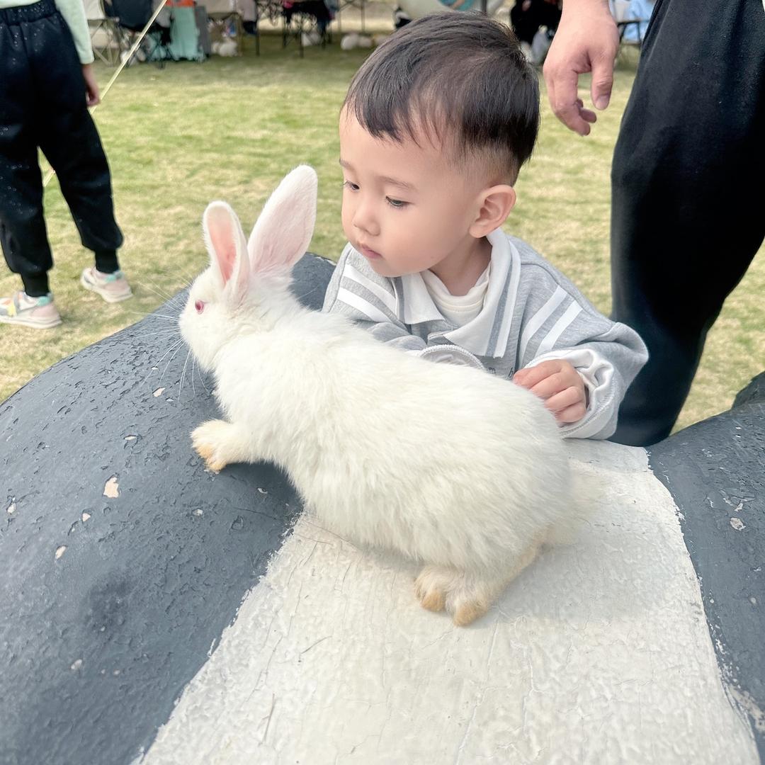 安安妈妈吖🌼