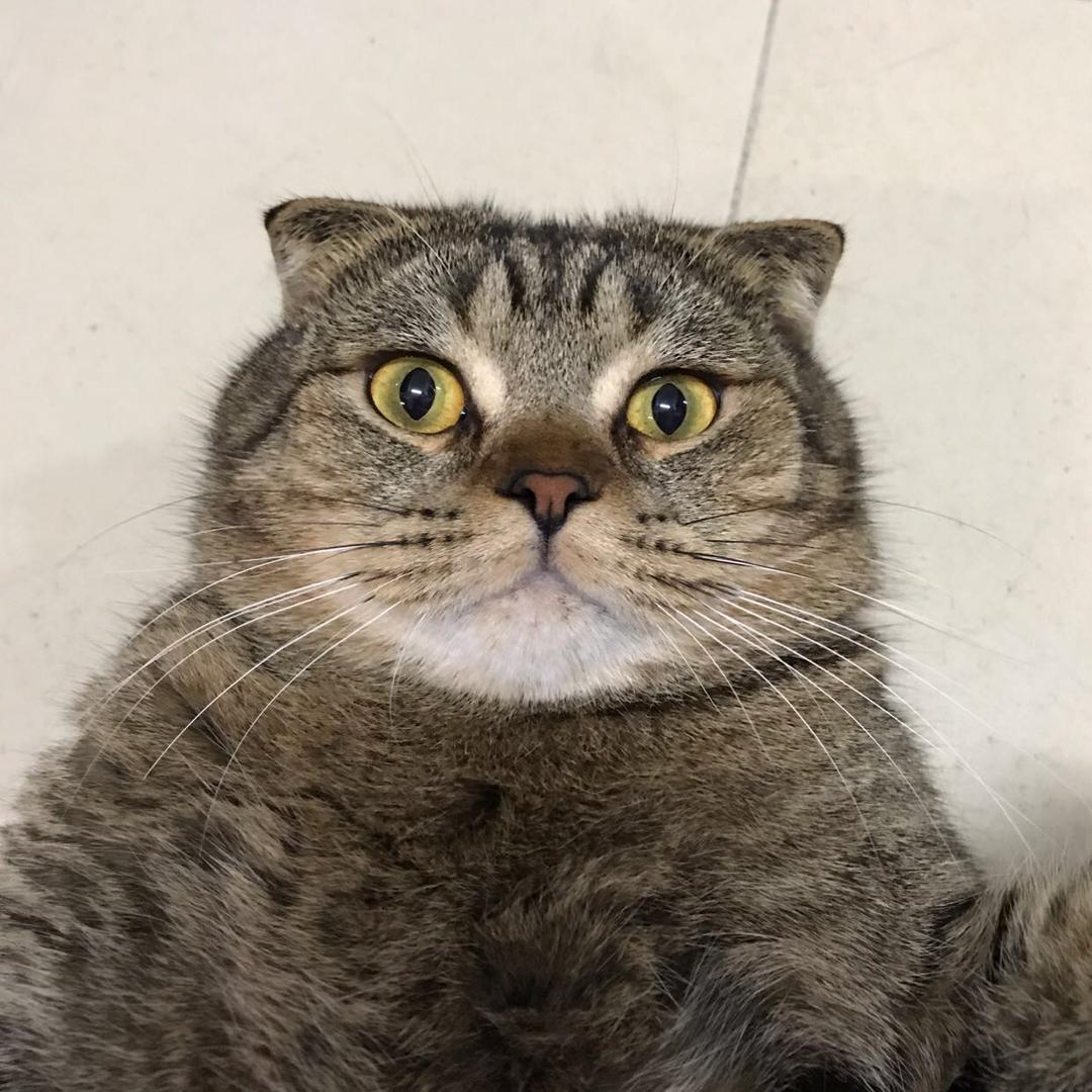粽子他爹哦～