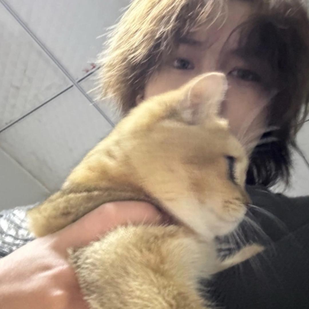 小向只做原装机