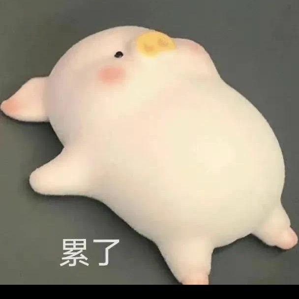 amy小姐姐