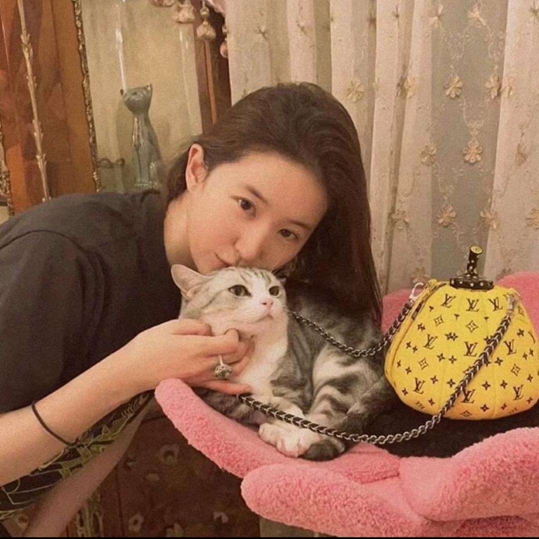 小小羊.