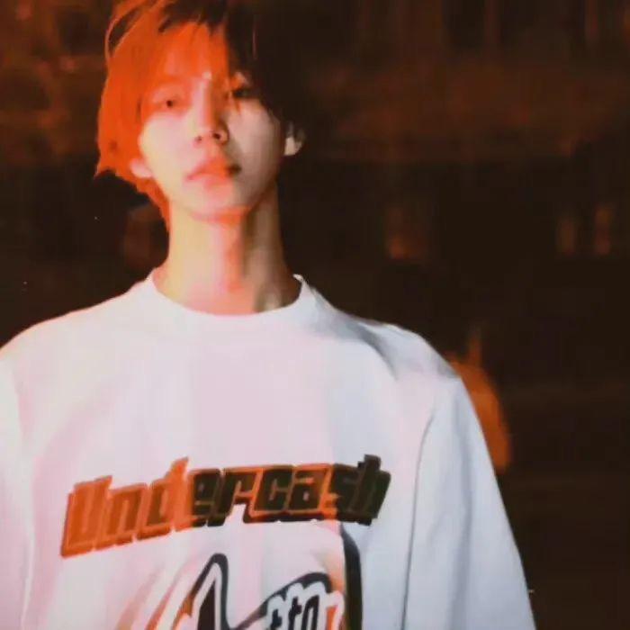 文质彬彬的黑夜