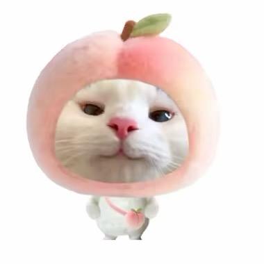 @小桃爱卡点