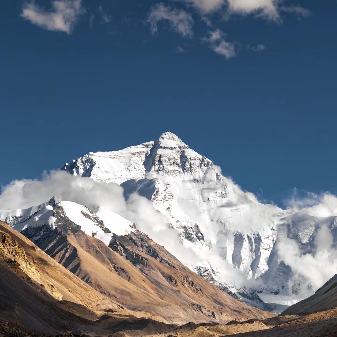 Synthesis Union 融合联合