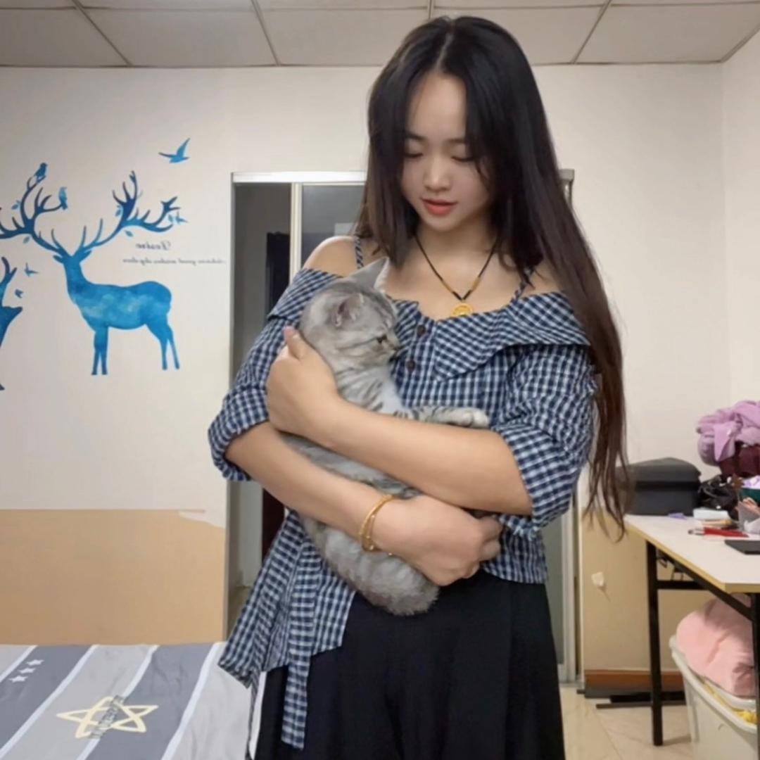 蓝  子