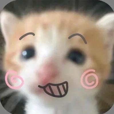 芝士小哼🧀🐈