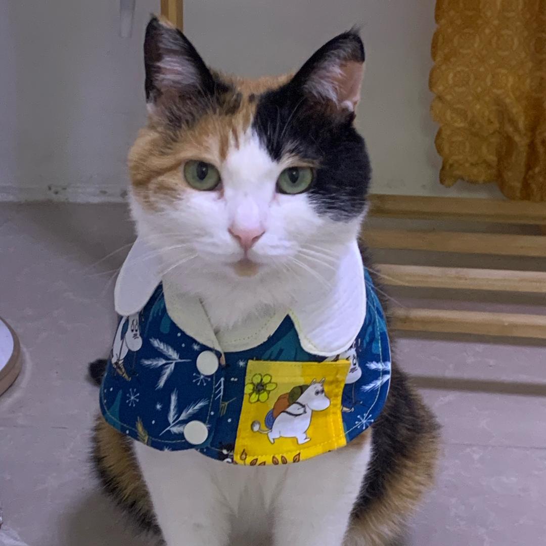 武汉金融刘姐姐