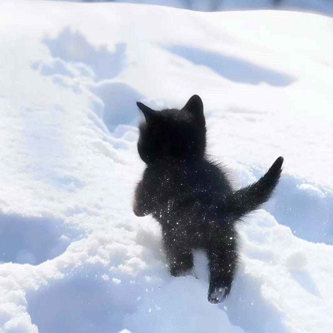 哈吉米（三角洲行动）