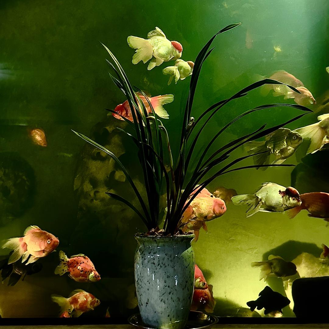 别笑，我是认真的！