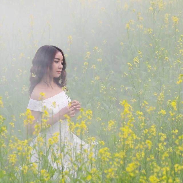养生放松音乐