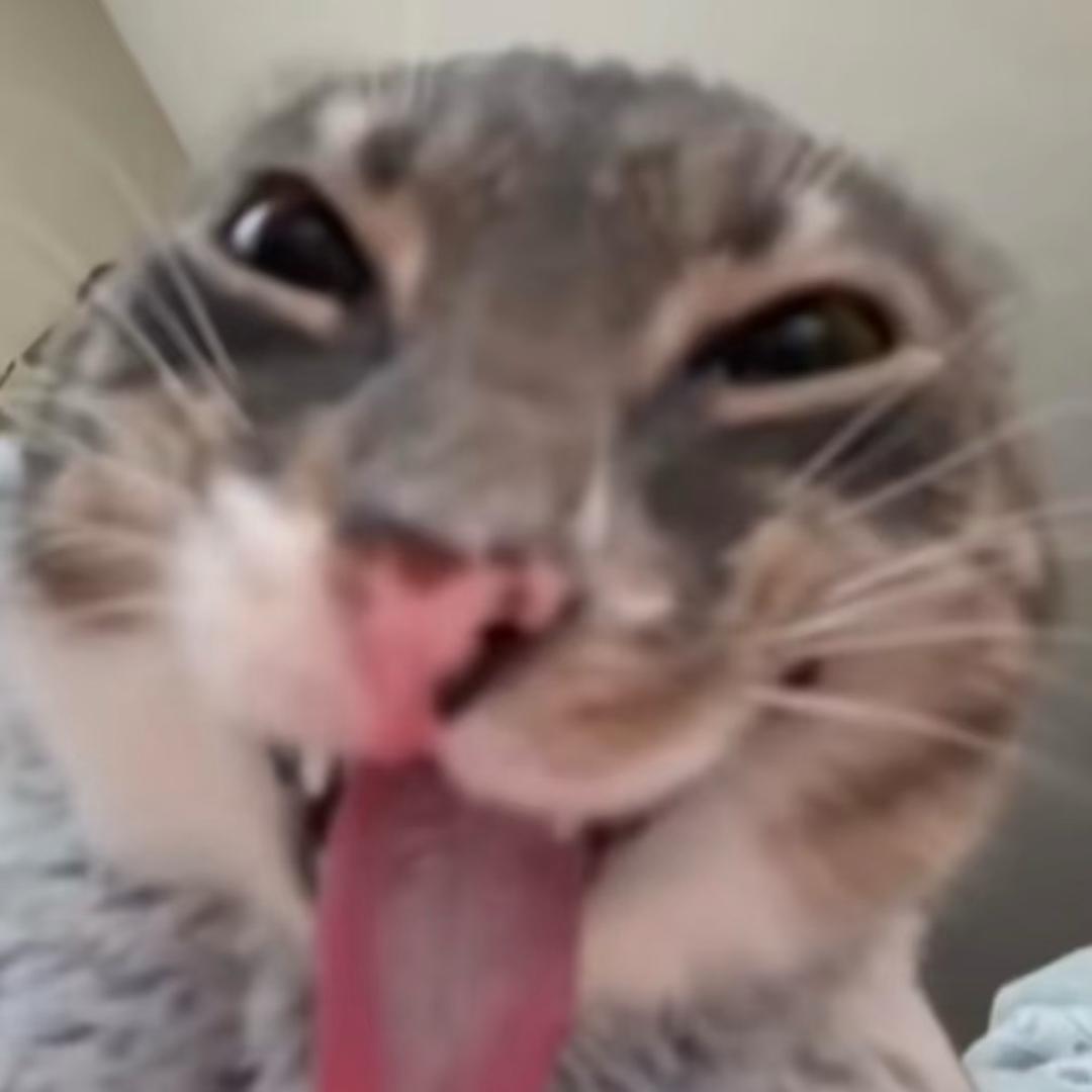 卿卿子衿